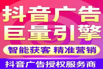 谷歌SEM案例研究：数据分析与效果评估